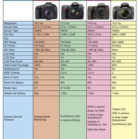 Canon Dslr Megapixel Chart