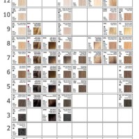 Caramel Hair Color Chart Wella