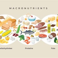 Carbohydrates Proteins And Fats Chart