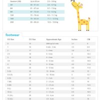 Carter S Oshkosh Size Chart