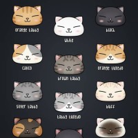 Cat Color Chart Poster