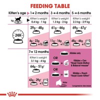 Cat Feeding Amount Chart