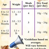 Cat Food Chart By Age