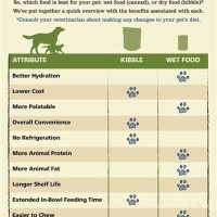 Cat Food Ratings Chart