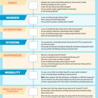 Cat Quality Of Life Chart