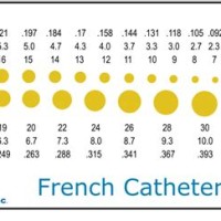 Catheter Fr Size Chart