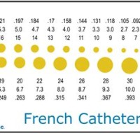 Catheter Size Chart French