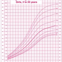 Cdc Vs Who Baby Growth Chart