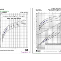 Cdc Vs Who Growth Charts