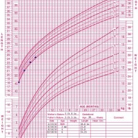 Cdc Weight Chart Calculator