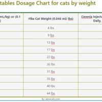 Cerenia Injection For Cats Dosage Chart