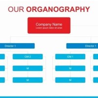 Chain Of Mand Chart For A Business