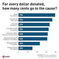 Charity Percene Of Donation Chart