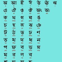 Chart Definition In Bengali