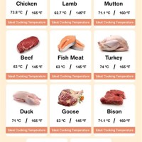 Chart For Meat Cooking Temperatures