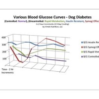 Chart For Tracking Blood Sugar Levels In Dogs