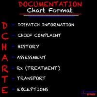 Chart Format Ems