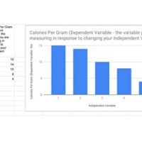 Chart Maker For Science Fair