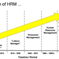 Chart Showing Evolution Of Management