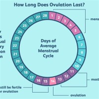 Chart Showing Most Fertile Days