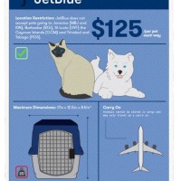 Charter Air Travel With Pets Reddit