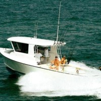 Charter Boats Gulf Coast Florida