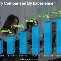 Chartered Accountant Average Salary In Usa