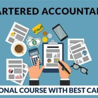 Chartered Accountant Course