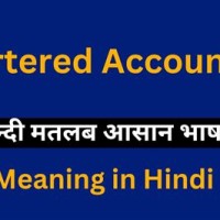 Chartered Accountant Definition In Hindi