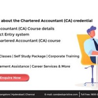 Chartered Accountant Exam In Usa