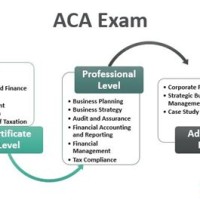 Chartered Accountant Exam Uk