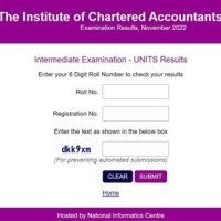 Chartered Accountant India Exam Results