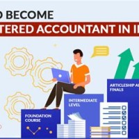 Chartered Accountant India Requirements