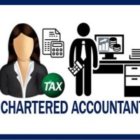 Chartered Accountant Meaning In Tamil