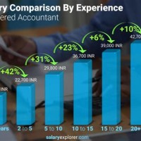 Chartered Accountant Monthly Salary In India