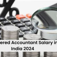 Chartered Accountant Salary In India 2016