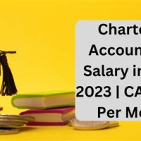 Chartered Accountant Salary In India Per Month 2016