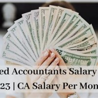 Chartered Accountant Salary In India Per Month 2017