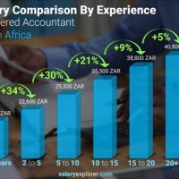 Chartered Accountant Salary In South Africa 2018