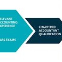 Chartered Accountant Training Contract Uk