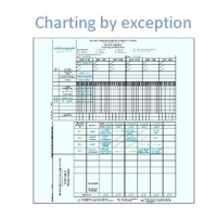 Charting By Exception Requires Quizlet