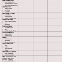 Charting For Nurses