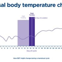 Charting Your Basal Body Temperature In Celsius