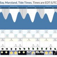 Chesapeake Bay Tide Chart