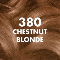 Chestnut Blonde Hair Color Chart