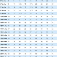 Chihuahua Puppy Growth Chart In Grams