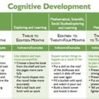 Child Cognitive Development Ses Chart