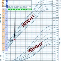 Child Development Chart Height Weight
