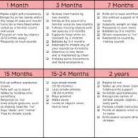 Child Development Milestones Chart 0 6 Years