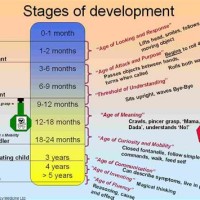 Child Development Ses Chart 0 16 Years